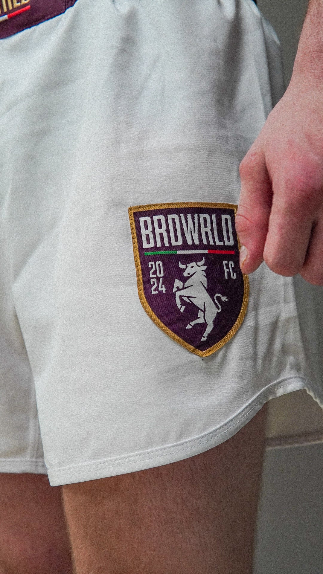 Torino Inspired BRDWRLD Kit ๐