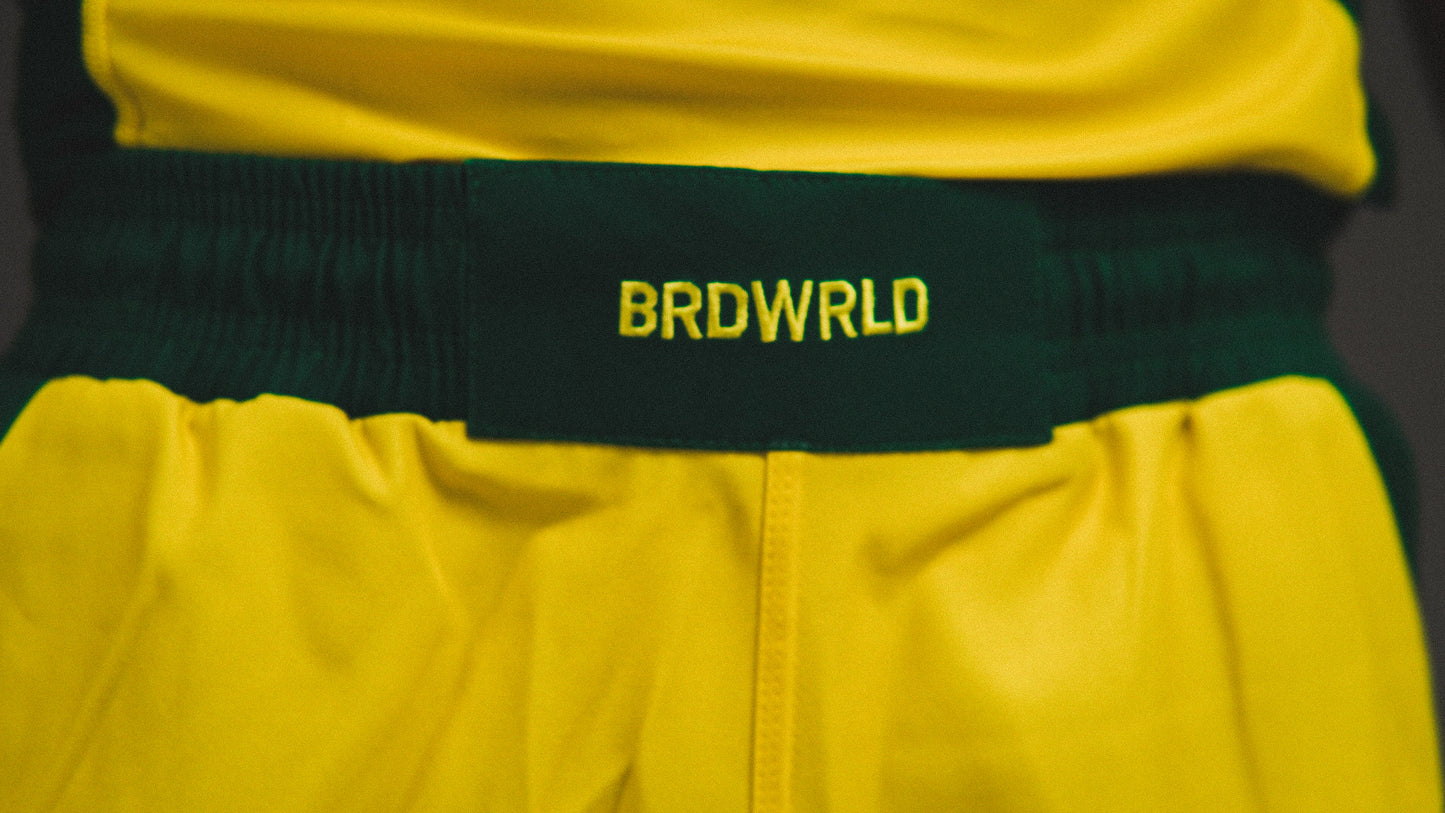 Brazil π§π· 1979-Inspired BRDWRLD Kit