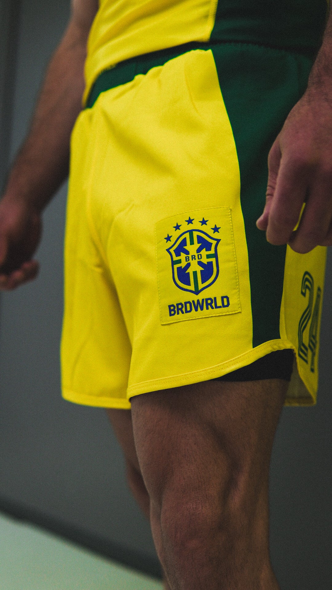 Brazil π§π· 1979-Inspired BRDWRLD Kit