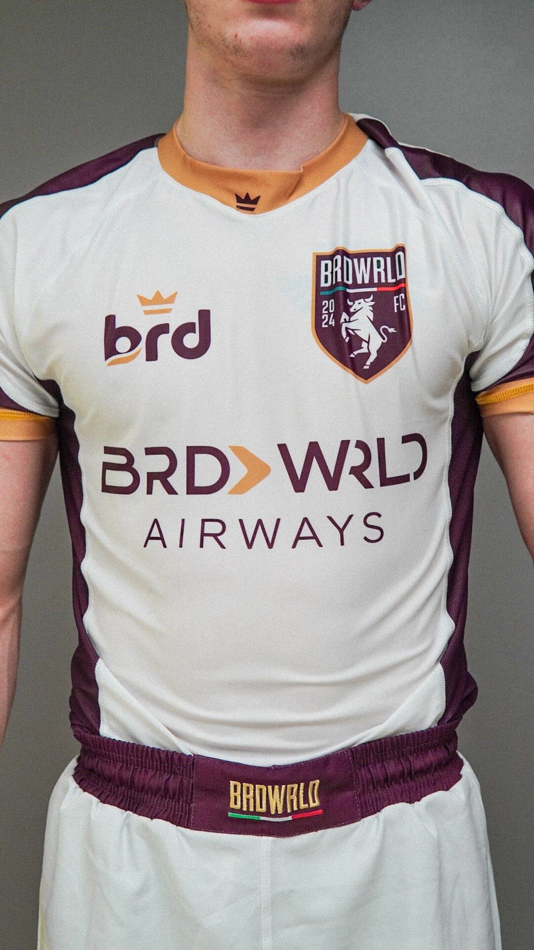Torino Inspired BRDWRLD Kit ๐