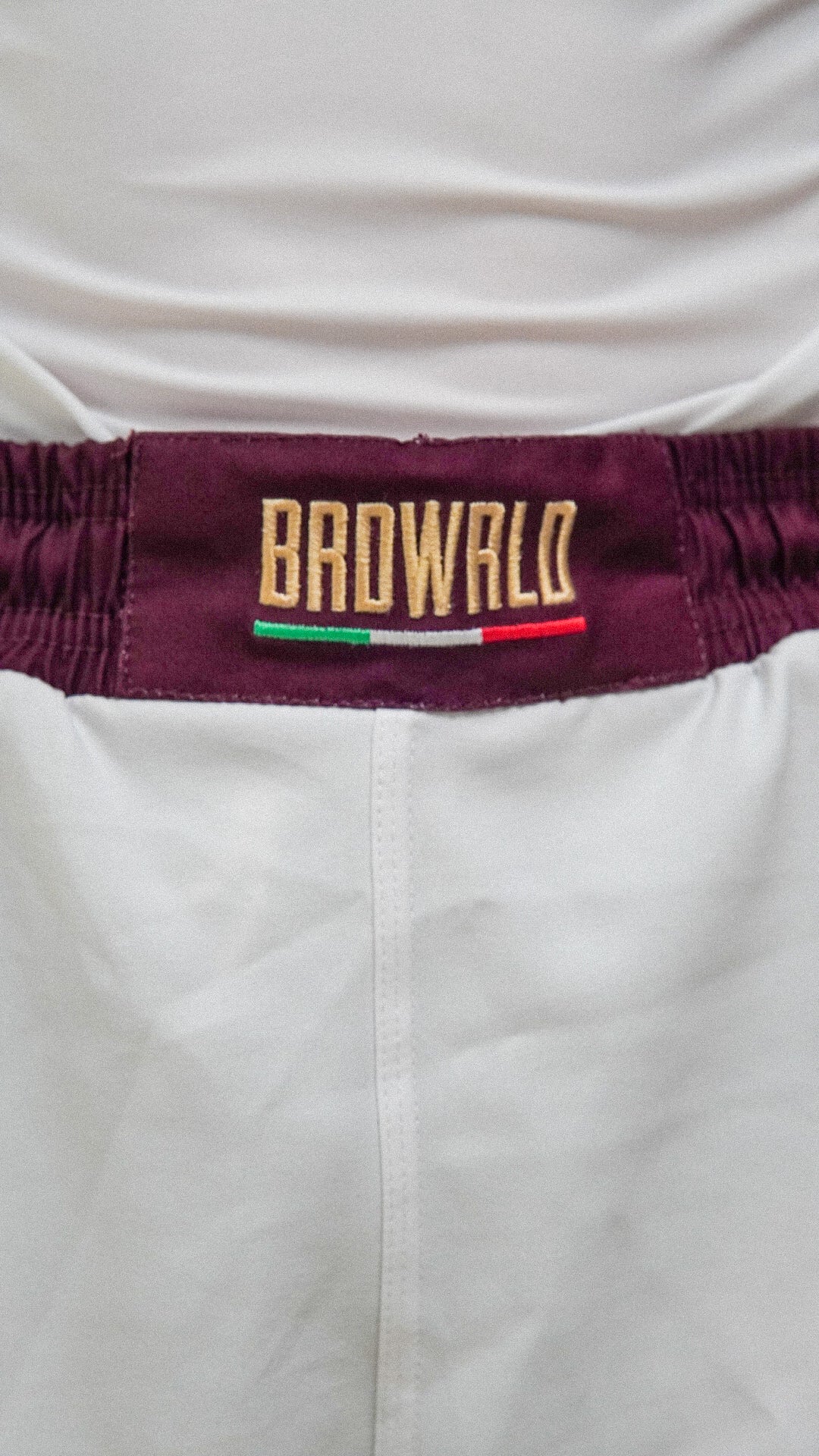 Torino Inspired BRDWRLD Kit ๐