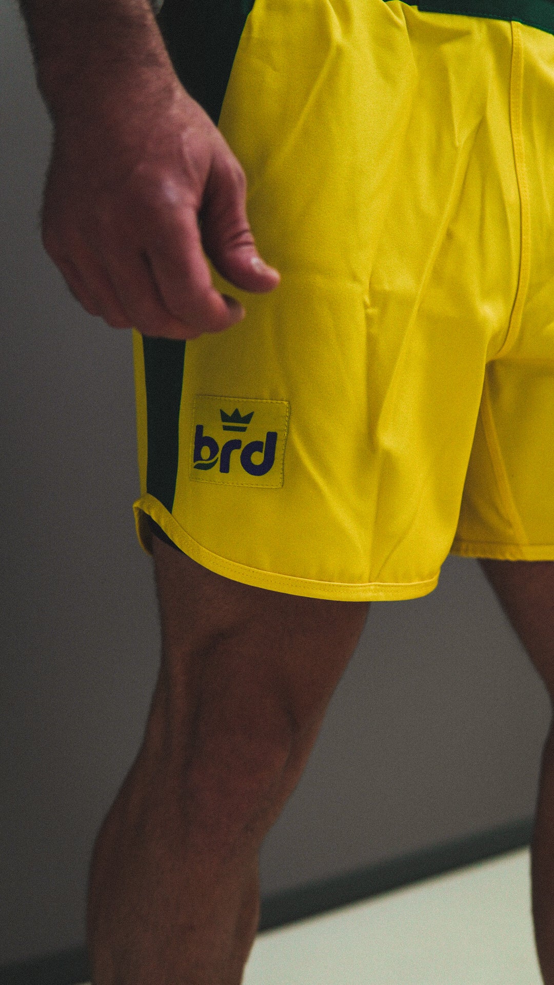 Brazil 🇧🇷 1979-Inspired BRDWRLD Kit