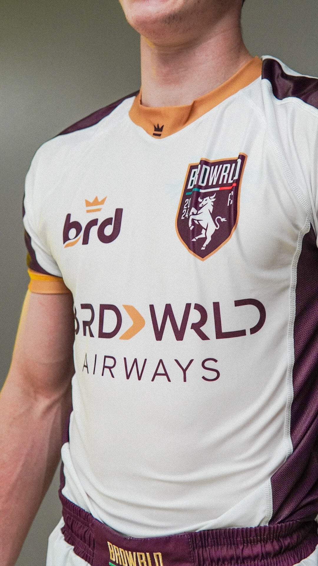 Torino Inspired BRDWRLD Kit 🐂
