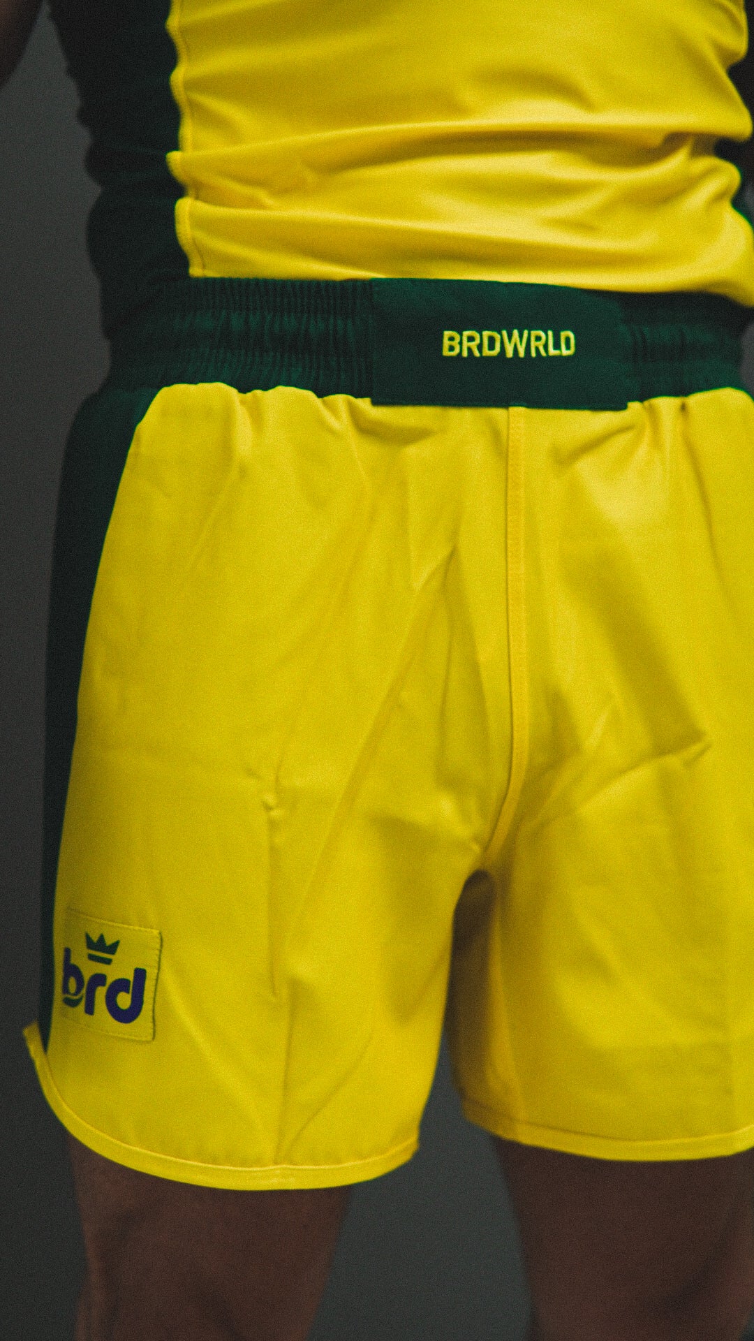 Brazil 🇧🇷 1979-Inspired BRDWRLD Kit