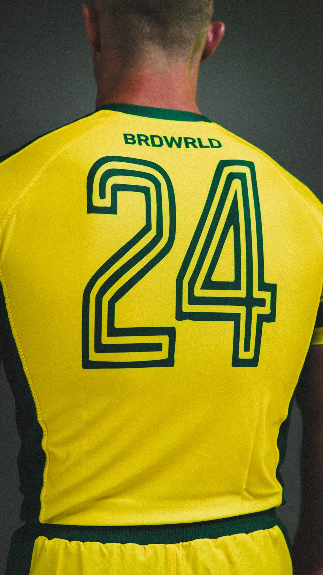 Brazil 🇧🇷 1979-Inspired BRDWRLD Kit